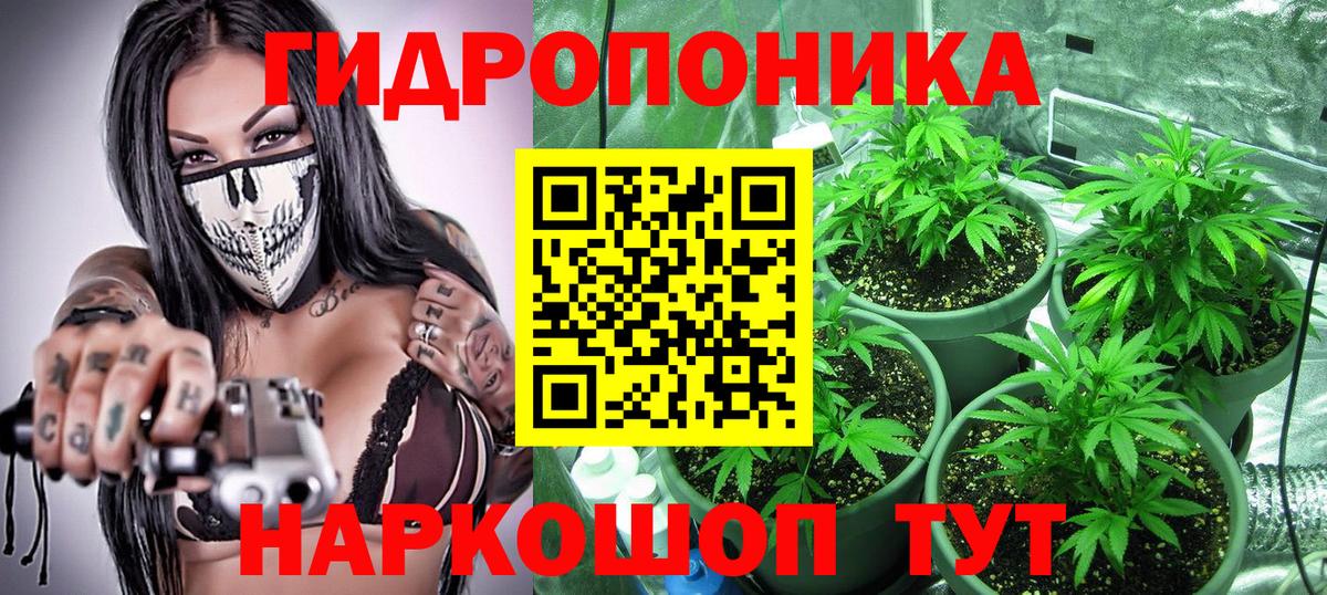 Шишки марихуана сатива Пугачёв